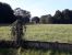 buildable land for sale on BLOIS (41000)